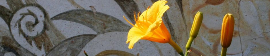 meditazione dei fiori bach